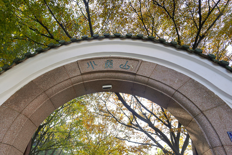 廣元到青島旅游攻略？廣元到青島旅游攻略一日游