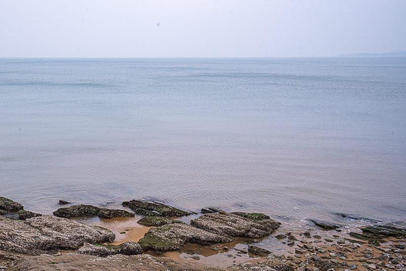 去青島旅游統(tǒng)計(jì)？去青島旅游的計(jì)劃